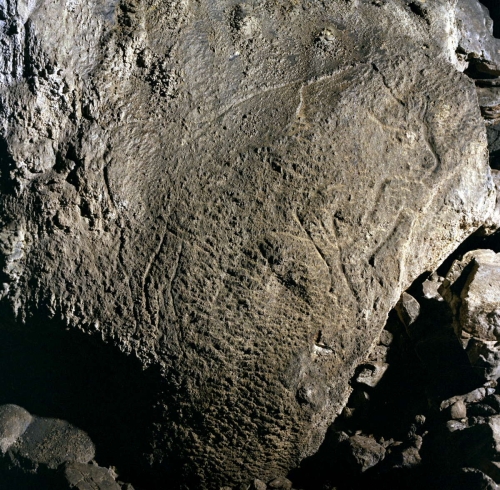 Bisonte grabado en la cueva de Coímbre. © Equipo Norte. Ministerio de Educación y Cultura